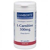 Lamberts L-Carnitin 500 mg