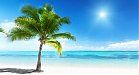 Bild Nr.2 zum Thema: Startklar für den Sommer: Reiseapotheke