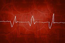 Bild Nr.1 zum Thema: Vitamine für ein gesundes Herz