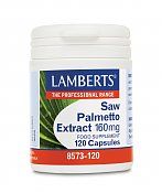 Lamberts Saw Palmetto Extrakt - Sägepalme
