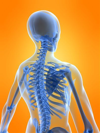 Osteoporose-Pack Apotheke zum Mohren