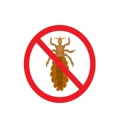 Lausschreckspray mit ätherischen Ölen